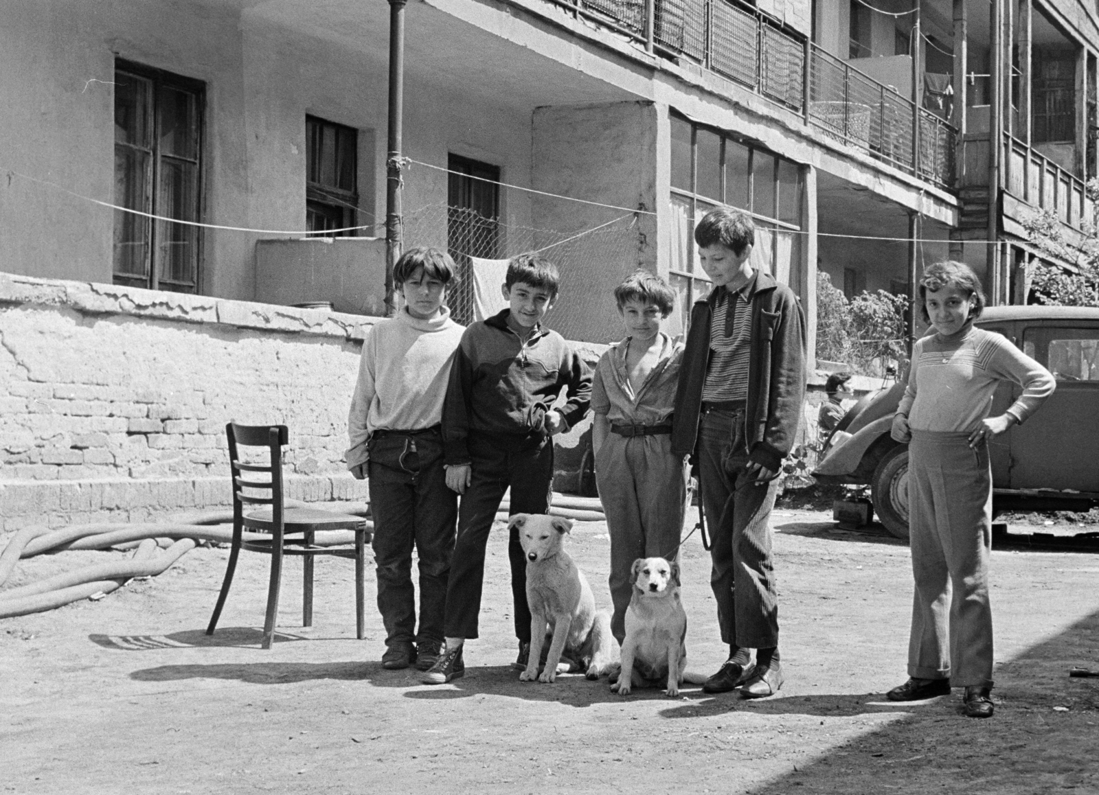 Hungary, Budapest XIII., "Tripolisz" lakótelep., 1970, Kereki Sándor, dog, tableau, Budapest, Fortepan #206461