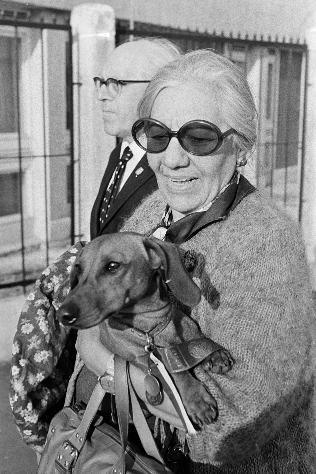 1976, Kereki Sándor, dog, Dachshund, shades, Fortepan #206467