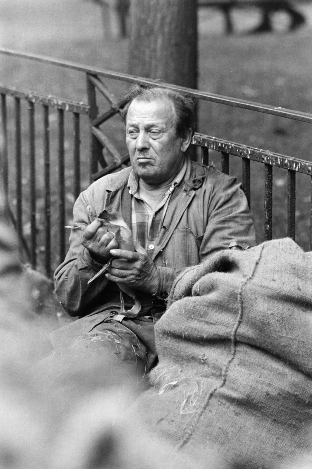 Hungary, Budapest VI., Hunyadi tér, piac a Vásárcsarnok előtt., 1971, Kereki Sándor, Budapest, sack, hold in arms, sitting on the ground, man, Fortepan #206491