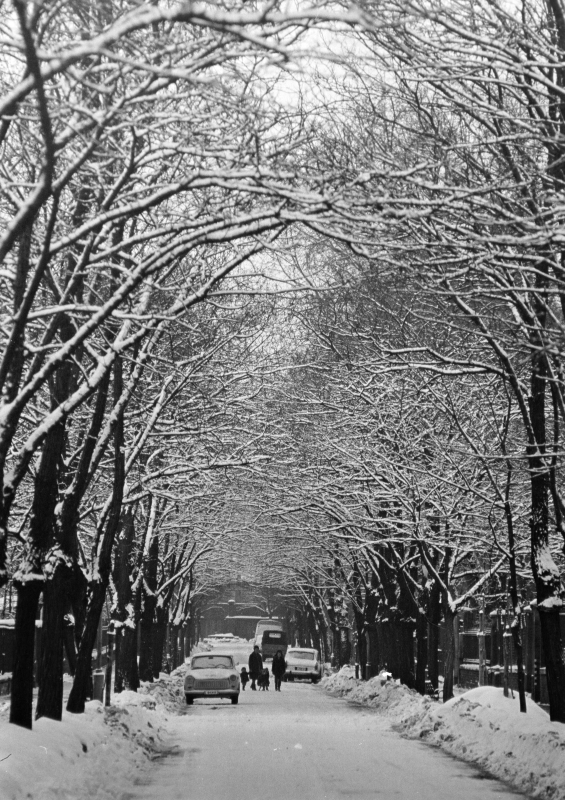 1971, Kereki Sándor, snow, alley, branch, Fortepan #206503