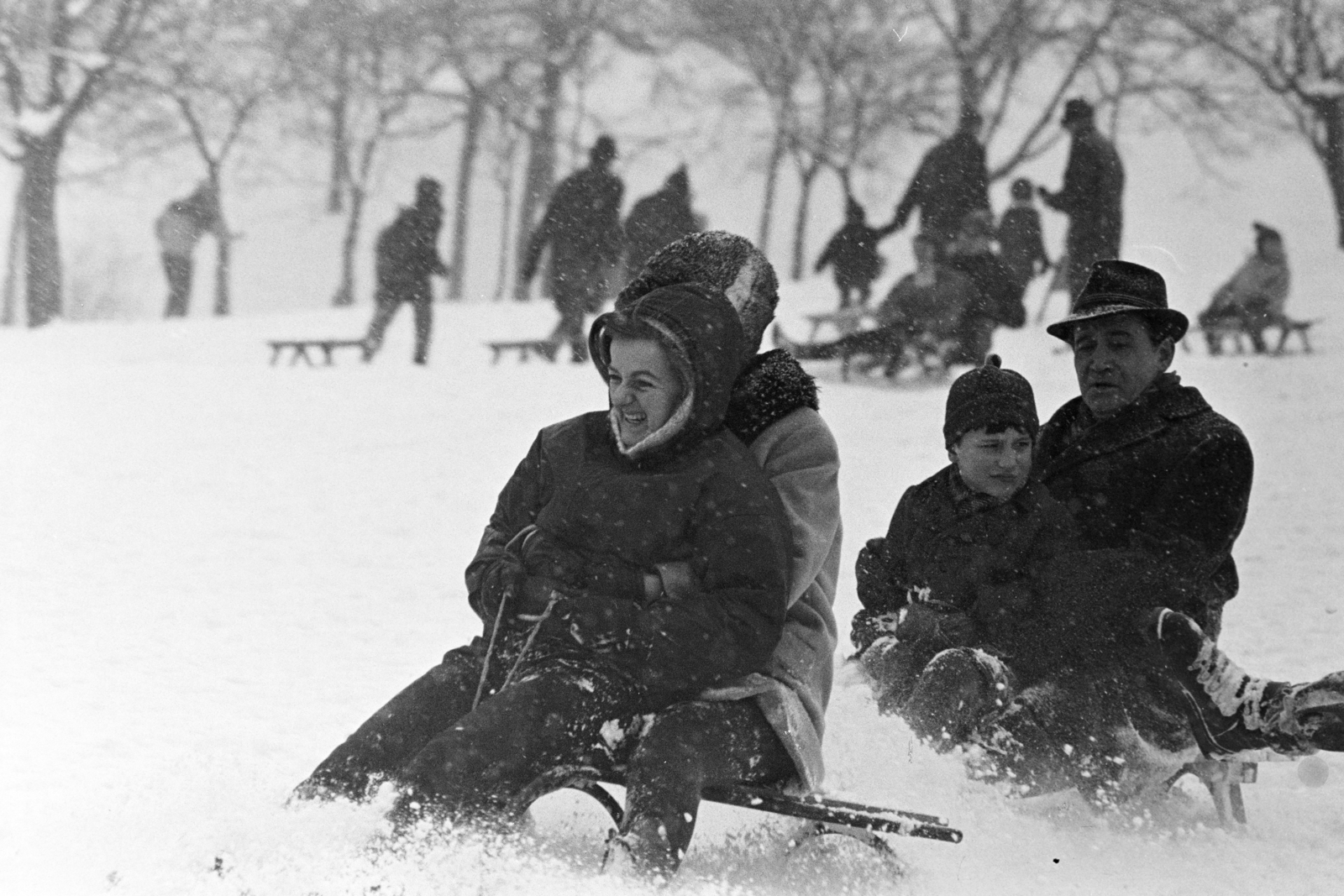 1971, Kereki Sándor, szánkó, Fortepan #206522
