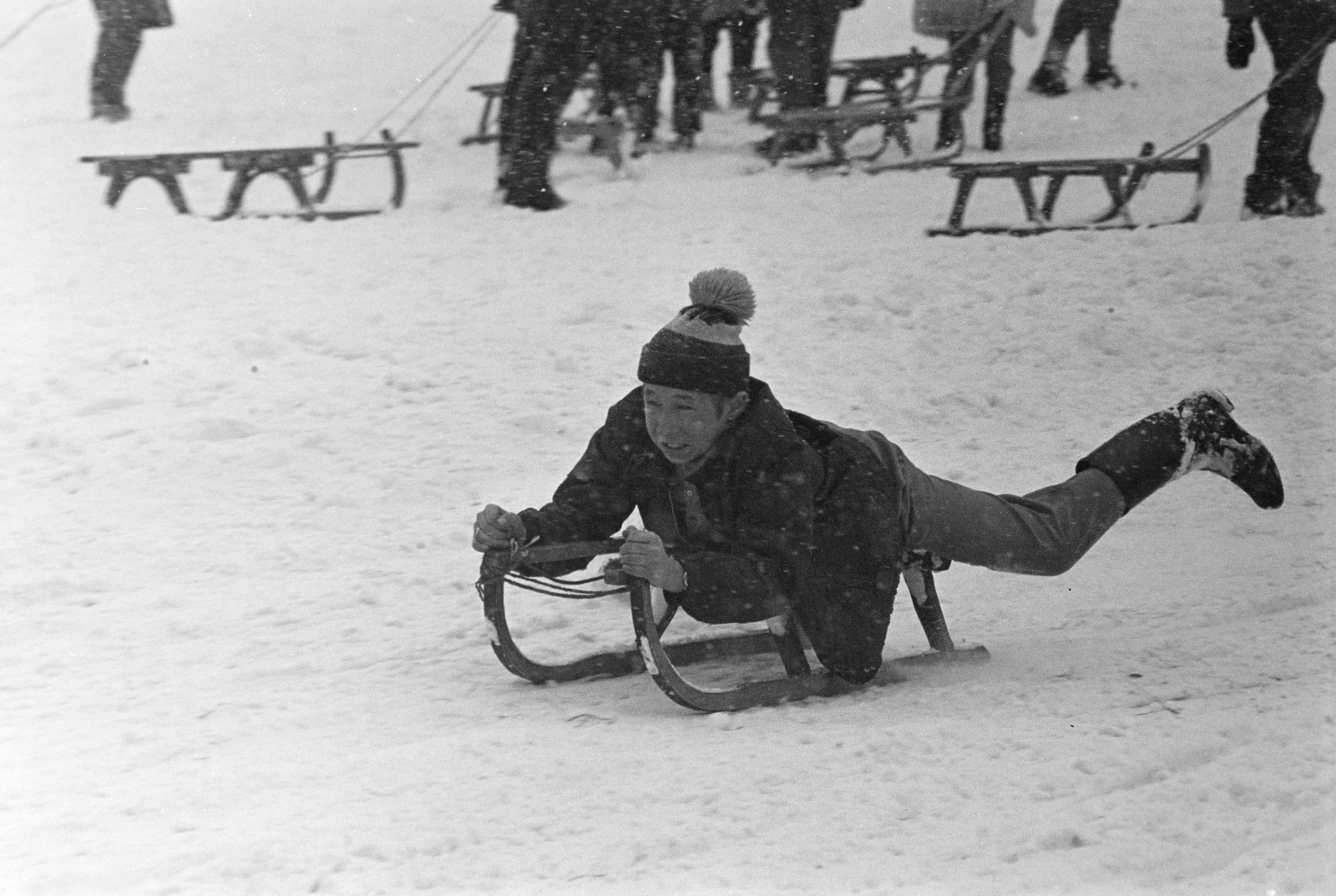 1971, Kereki Sándor, szánkó, Fortepan #206523
