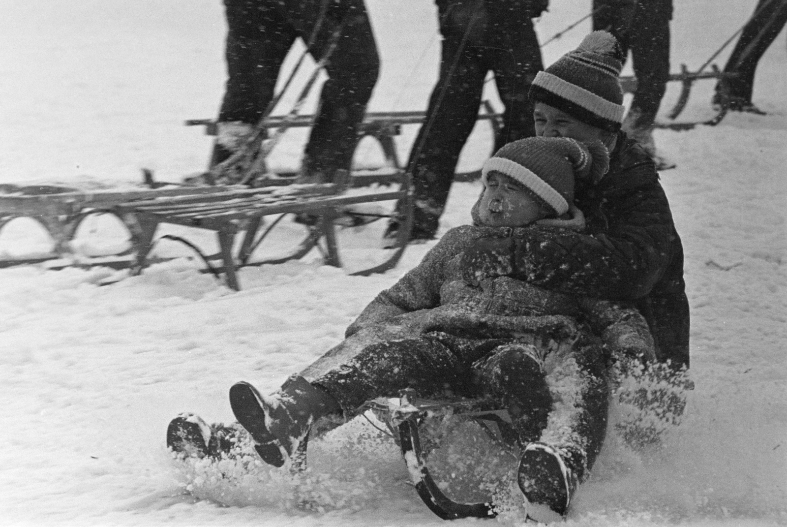 1971, Kereki Sándor, sledge, Fortepan #206524