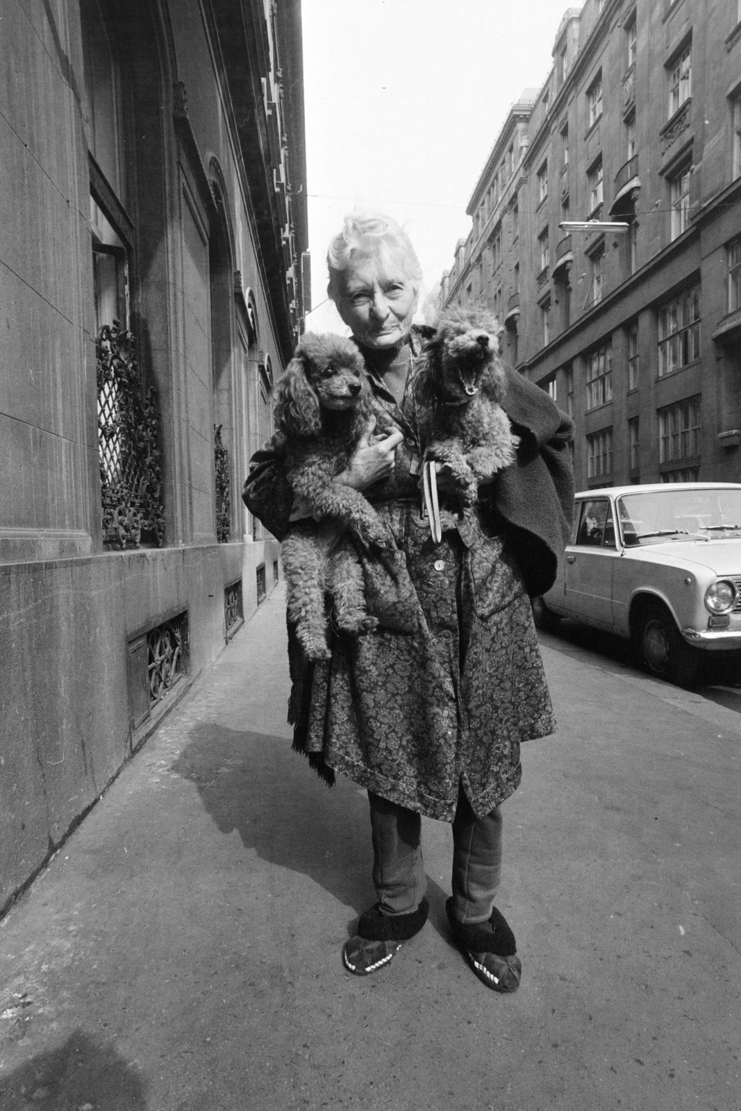 Hungary, Budapest V., Dorottya utca a Wekerle Sándor (Szende Pál) utca felől a Széchenyi István (Roosevelt) tér felé nézve., 1977, Kereki Sándor, Budapest, old person, slippers, hold in arms, dog, Fortepan #206532