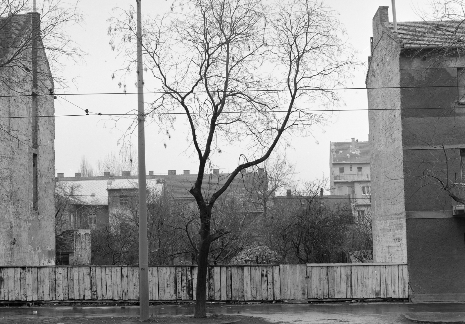 Magyarország, Budapest XI., Fehérvári út 104/a számú üres telek., 1975, FŐFOTÓ, foghíj telek, Budapest, Fortepan #206739