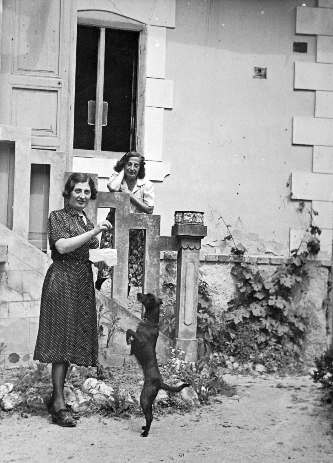 1940, Fortepan, dog, women, genre painting, animal trainer, Fortepan #20683