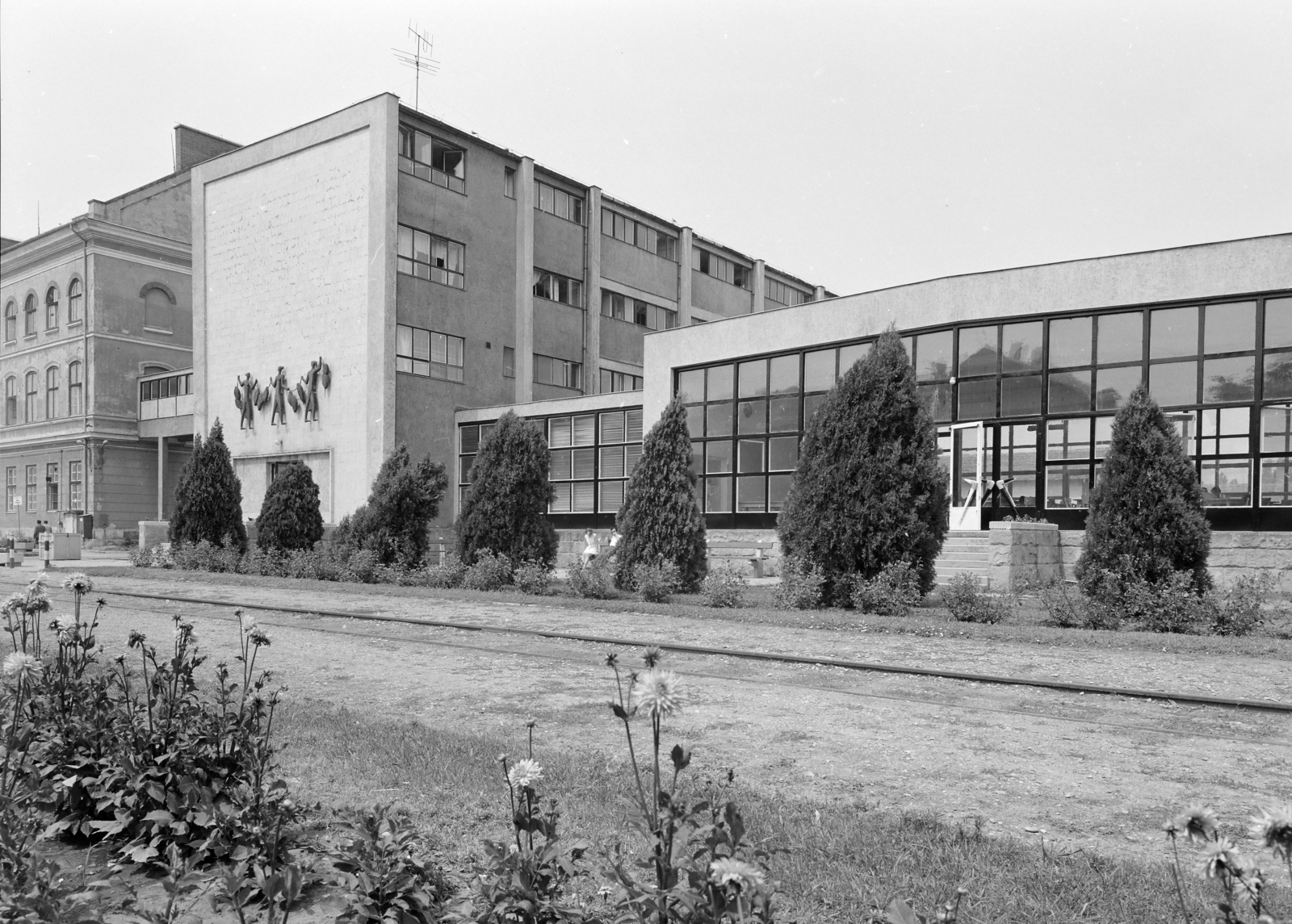 Hungary, Debrecen, Vágóhíd utca, Debreceni Dohánygyár., 1976, FŐFOTÓ, tobacco factory, Fortepan #206962