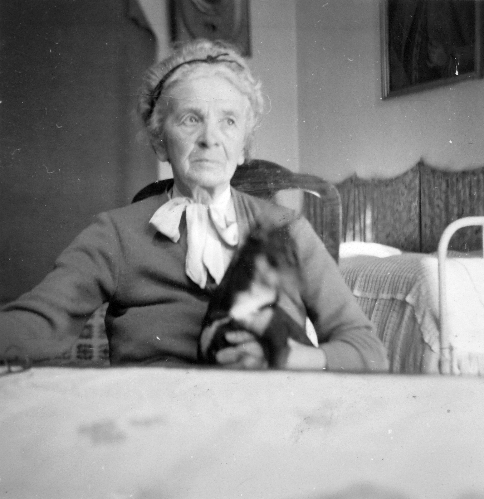 1933, Fortepan, portrait, cat, woman, Fortepan #20714