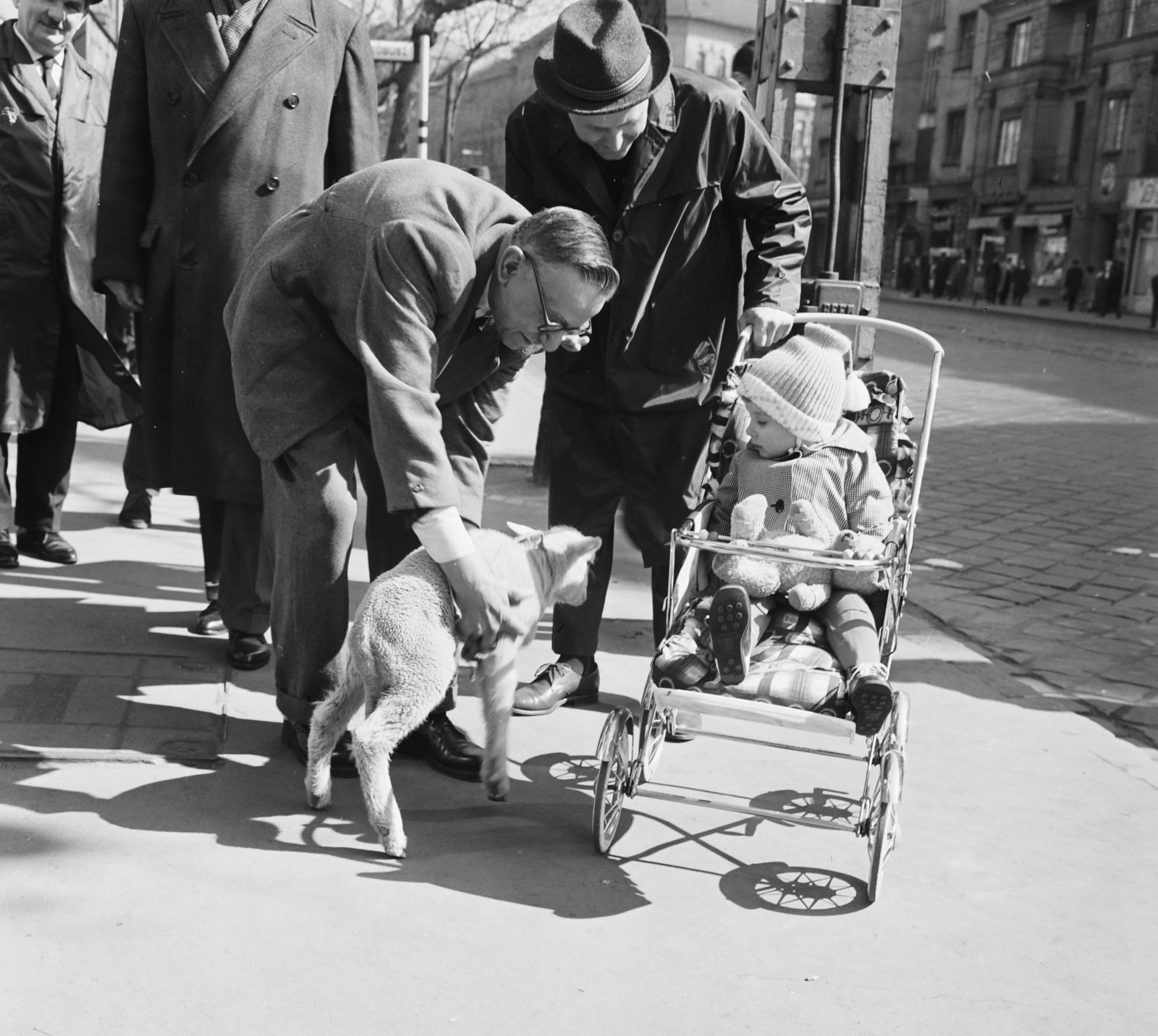 Hungary, Budapest XI., a felvétel a Móricz Zsigmond körtér 1-es számú ház kapuja előtt készült., 1967, FŐFOTÓ, Budapest, lamb, baby carriage, Fortepan #207421