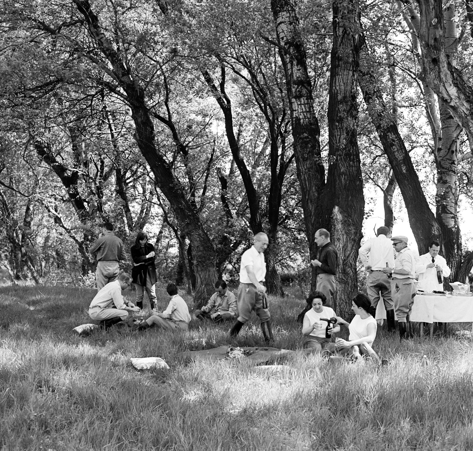 Hungary,Danube Bend, Visegrád, Duna-part Visegrád-Szentgyörgypuszta környékén., 1967, FŐFOTÓ, Fortepan #207491