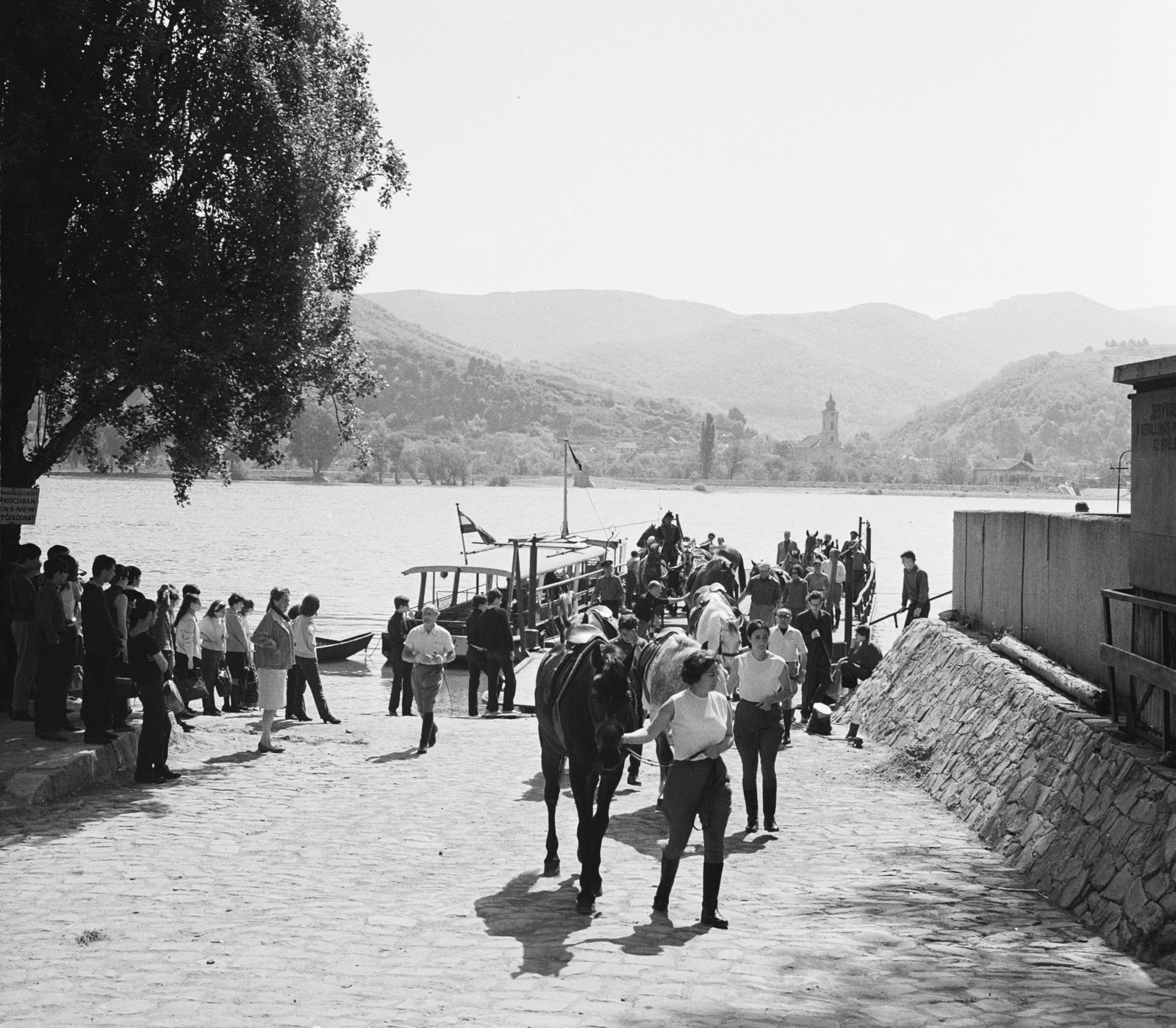 Hungary,Danube Bend, Nagymaros, Duna-part, a Nagymaros és Visegrád között közlekedő komp a kikötőben., 1967, FŐFOTÓ, Fortepan #207496