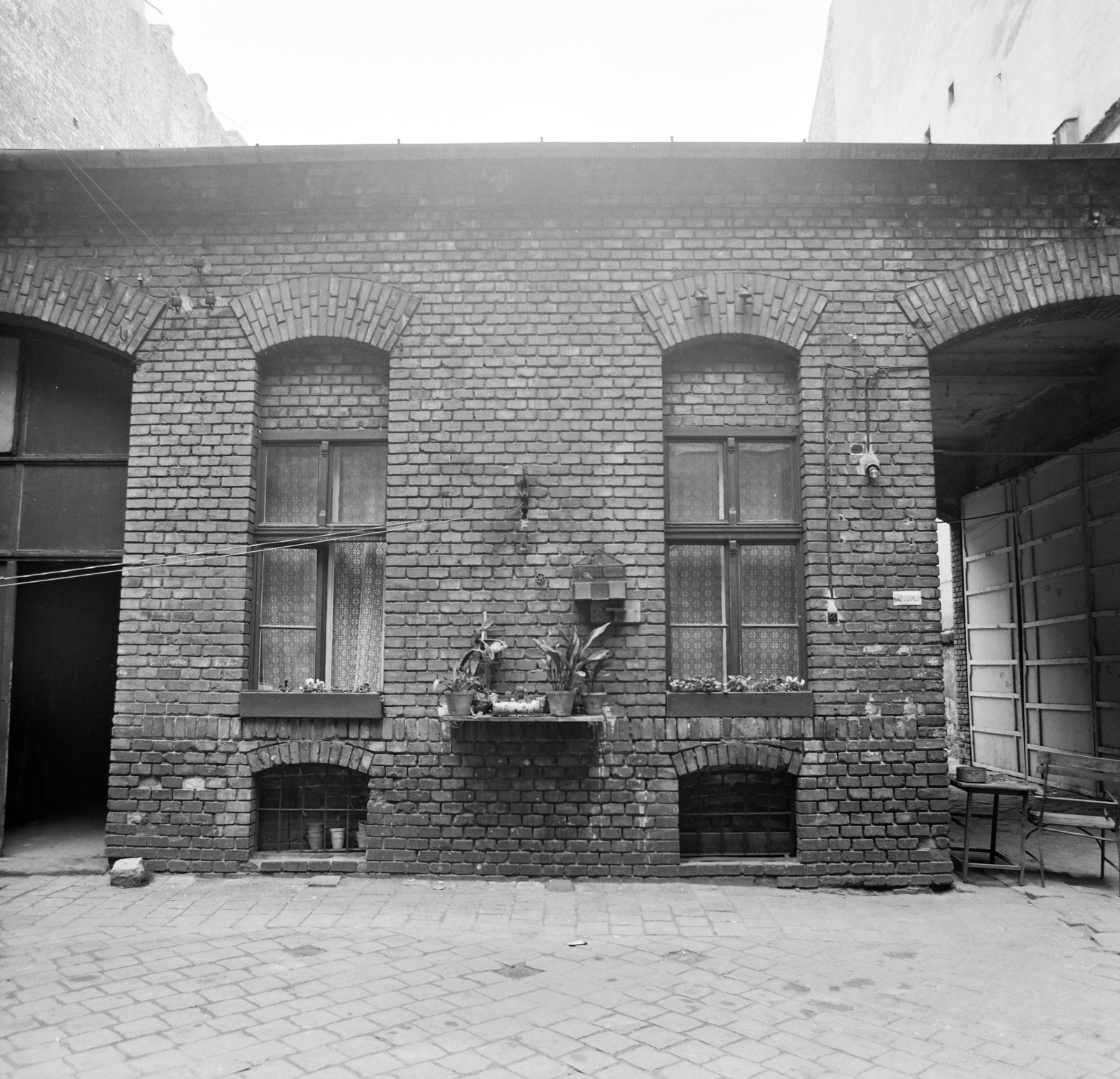 1969, FŐFOTÓ, bird cage, yard, Fortepan #208005