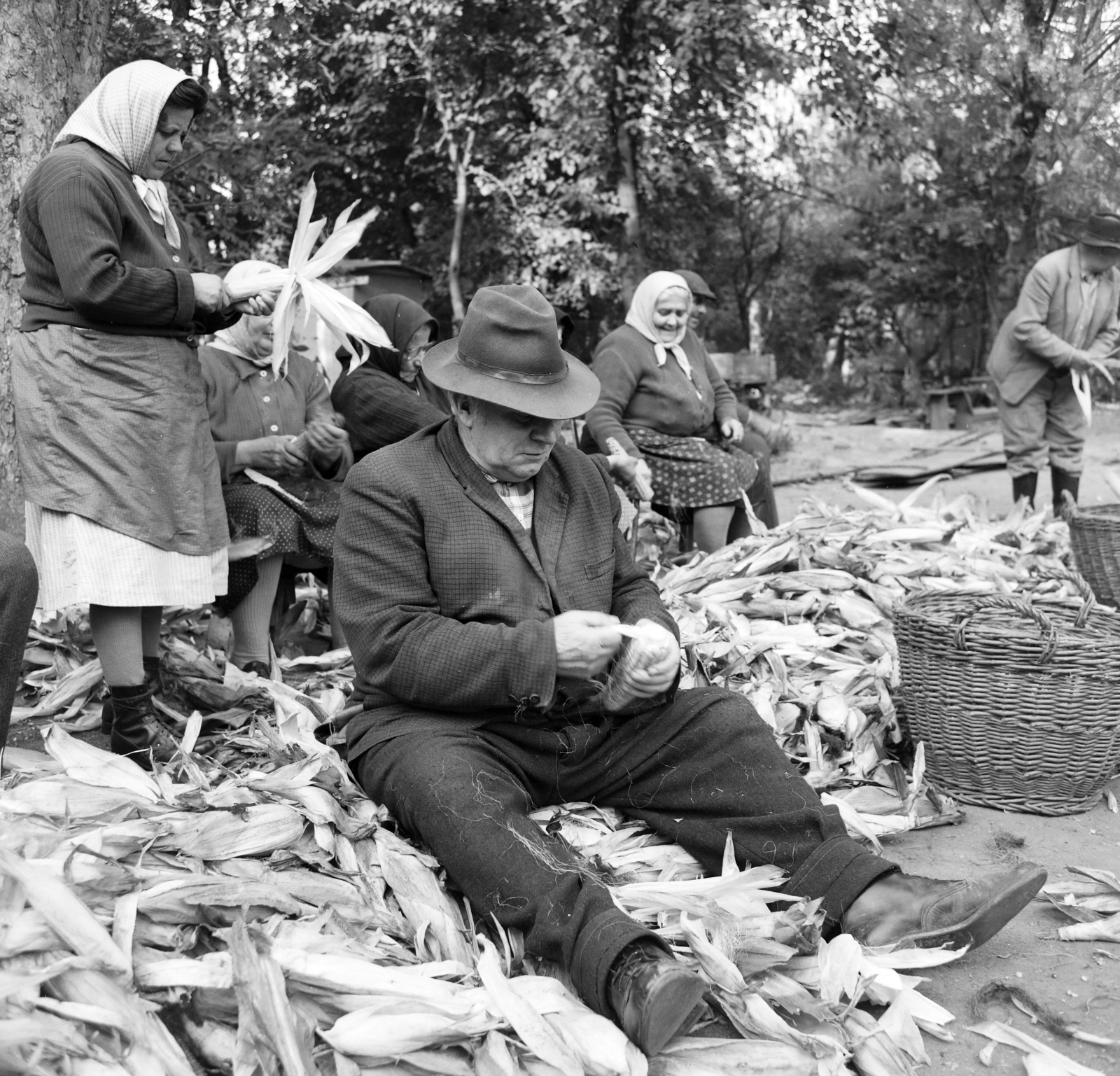 1969, FŐFOTÓ, shelling corn, Fortepan #208116