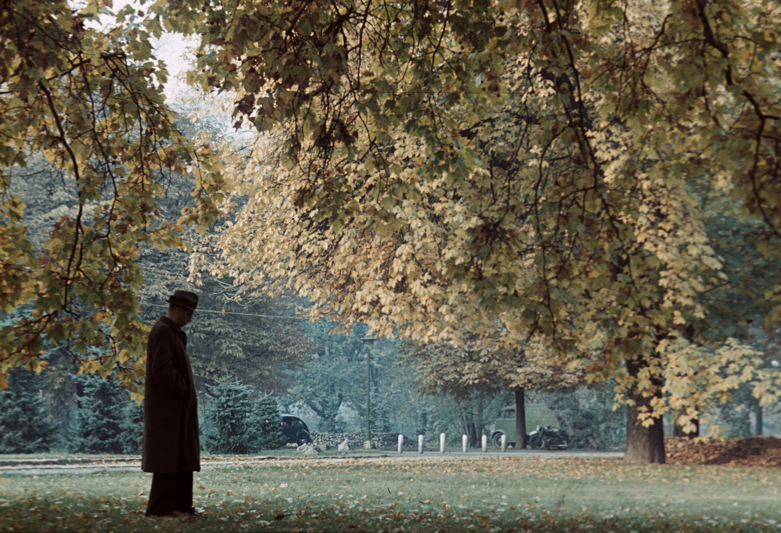 1940, Fortepan, hat, colorful, melancholy, autumn, wood, fallen leaves, Fortepan #20825