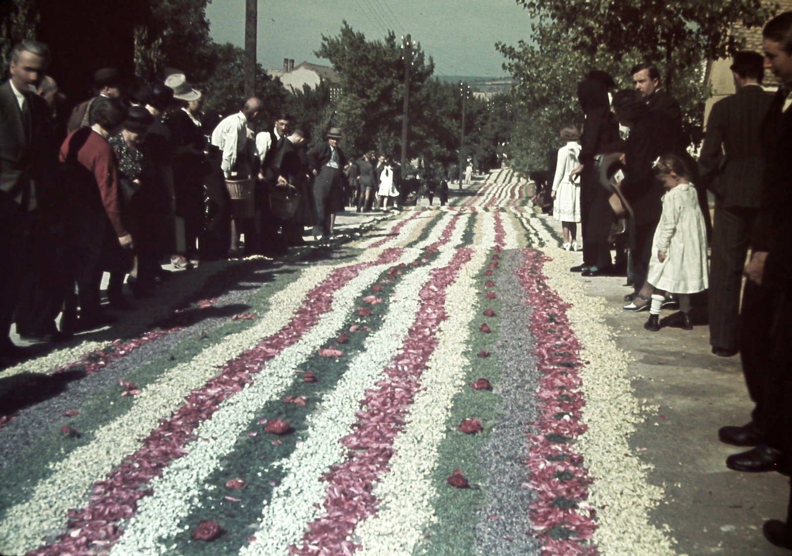 Hungary, Budaörs, Szabadság út (József főherceg utca) a Templom tér felől nézve. Úrnapi körmenet virágszőnyege., 1940, Fortepan, colorful, Fortepan #20837