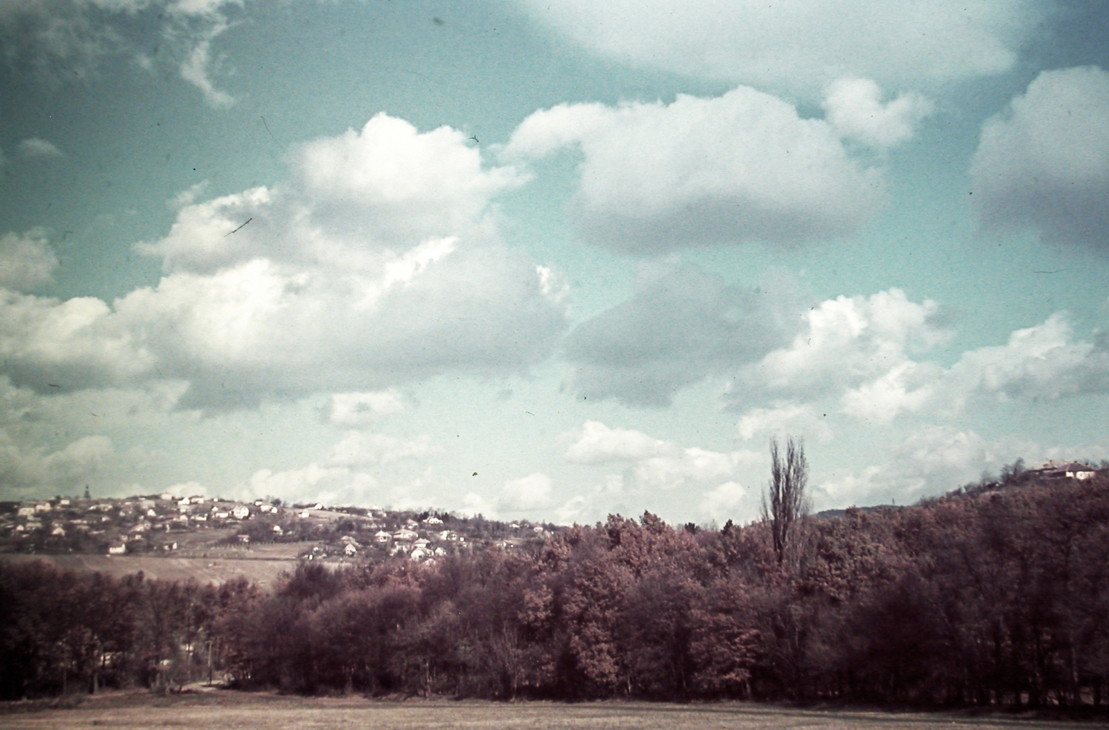 Hungary, Budapest II., Nagyrét., 1940, Fortepan, colorful, clouds, landscape, Budapest, Fortepan #20849