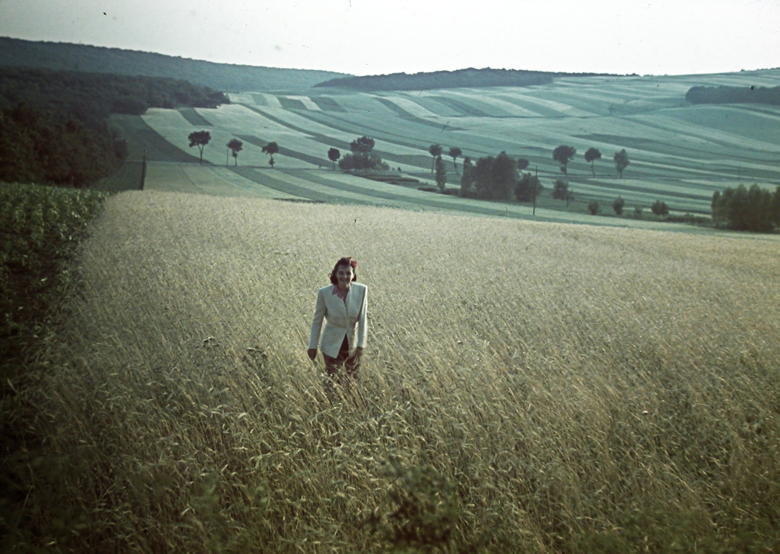 1940, Fortepan, colorful, landscape, Fortepan #20867
