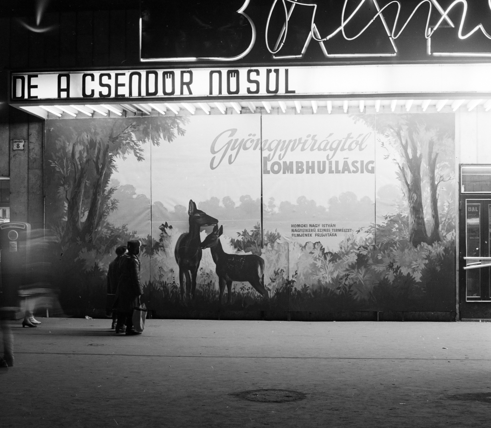 Hungary, Budapest VII., Erzsébet (Lenin) körút 8., Bástya mozi., 1970, FŐFOTÓ, Budapest, movie poster, Fortepan #208894