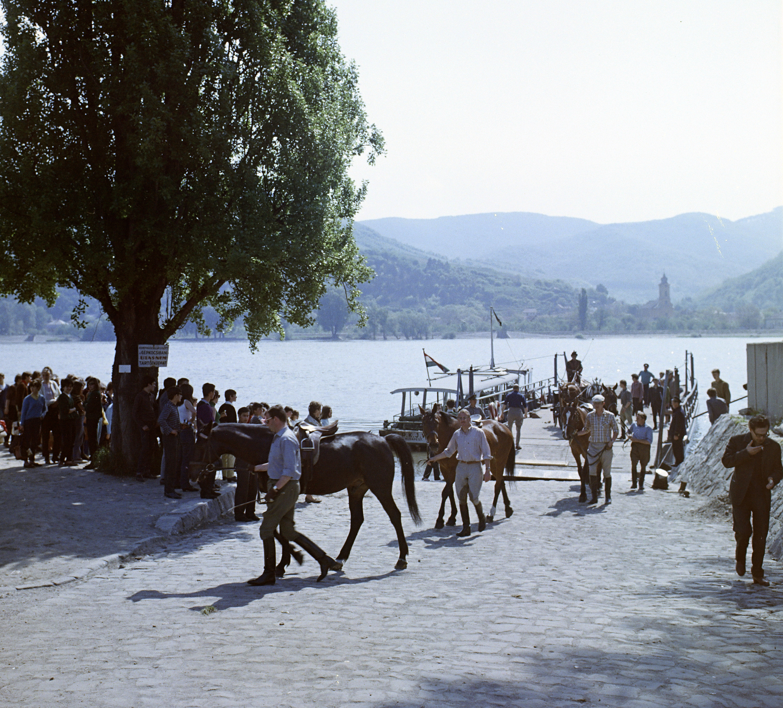 Magyarország,Dunakanyar, Nagymaros, Duna-part, a Nagymaros és Visegrád között közlekedő komp a kikötőben., 1967, FŐFOTÓ, színes, komp, rév, Fortepan #209085