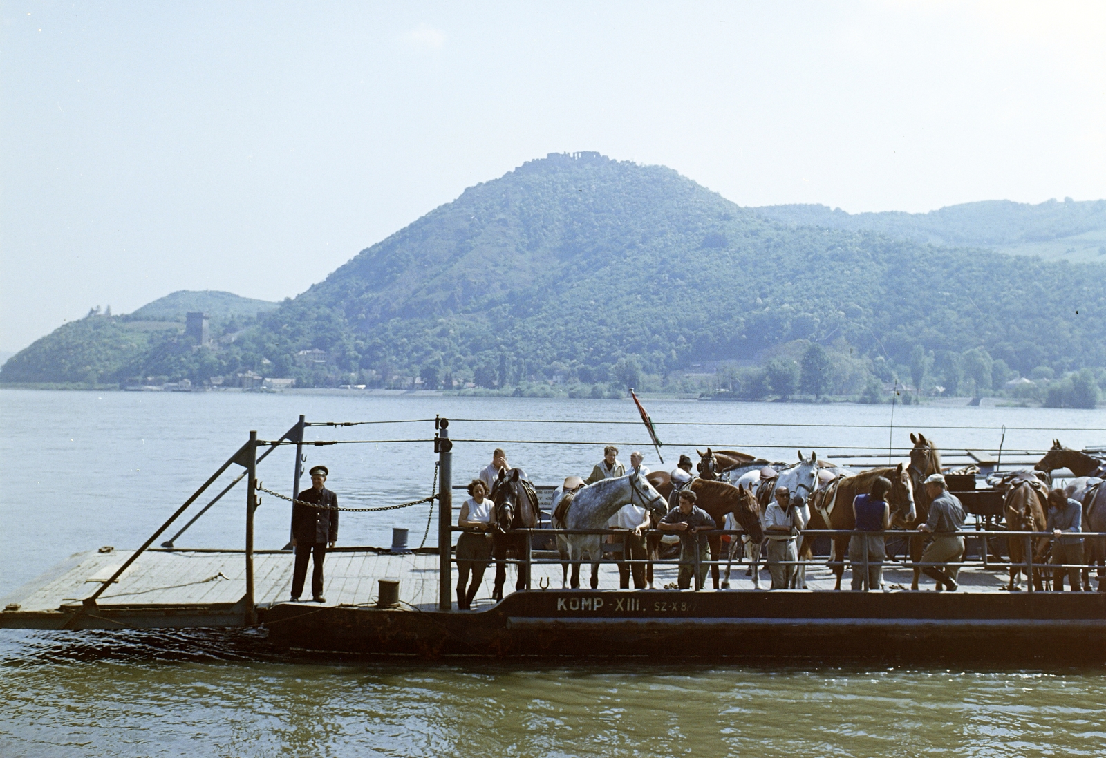 Hungary,Danube Bend, a Nagymaros és Visegrád között közlekedő komp a Dunán. Szemben a túlparton Visegrád, az Alsóvár a lakótoronnyal / Salamon-torony és fenn a Fellegvár., 1967, FŐFOTÓ, colorful, ferry, horse, Fortepan #209086
