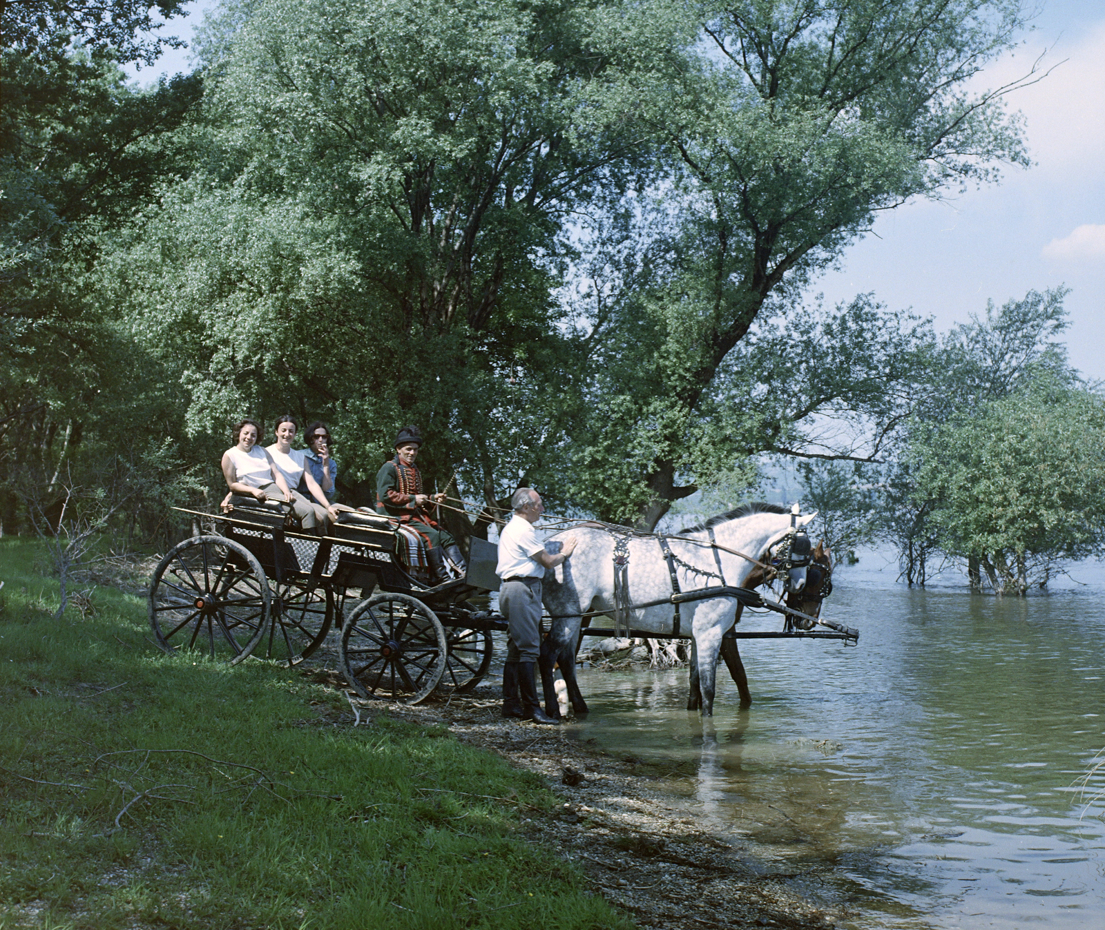 Hungary,Danube Bend, Visegrád, Duna-part Visegrád-Szentgyörgypuszta környékén., 1967, FŐFOTÓ, colorful, Horse-drawn carriage, Fortepan #209087