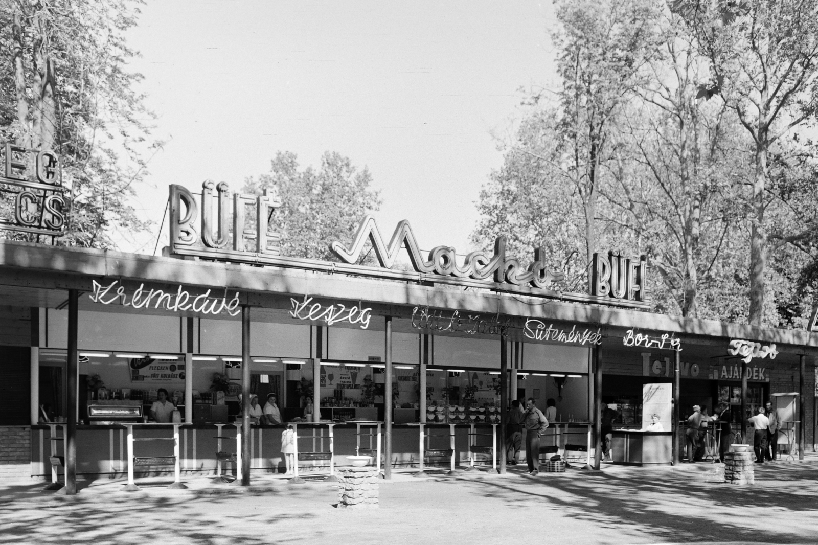 Hungary, Balatonföldvár, Jubileum tér (Hősök útja), üzletsor a parkban., 1967, FŐFOTÓ, Fortepan #209124