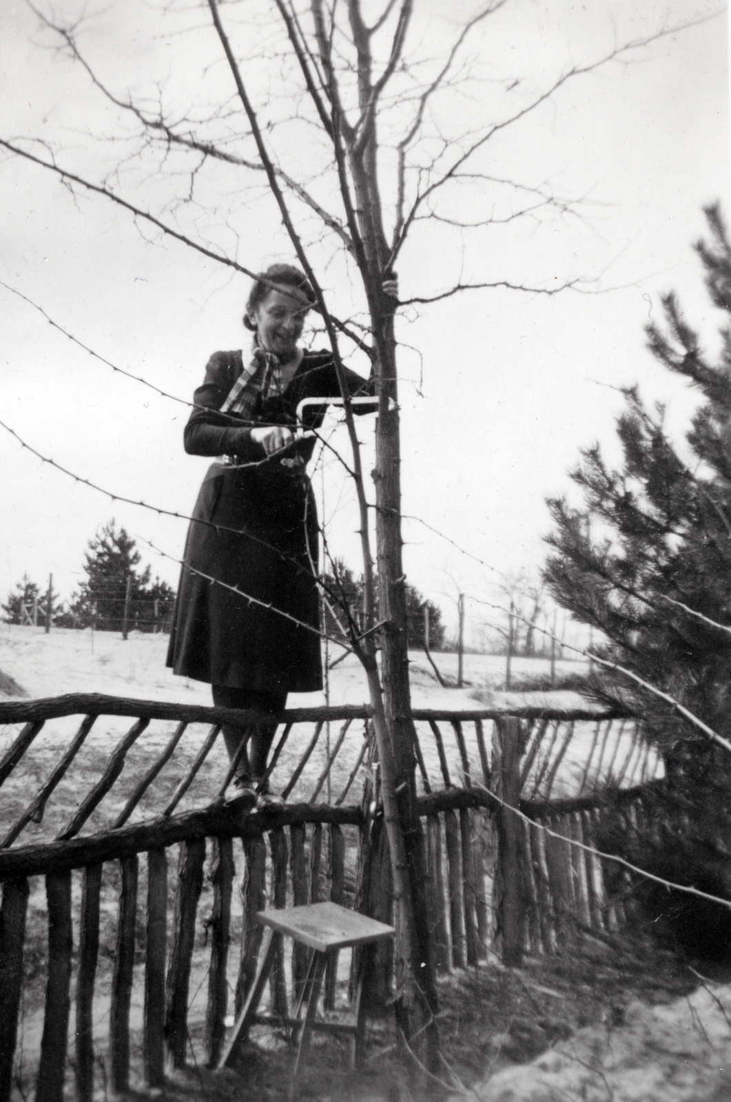 Magyarország, Pócsmegyer, Surány, a felvétel egy nyaraló kertjében készült., 1940, Balogh Jánosné dr. Horváth Terézia, kerítés, sámli, fűrész, Fortepan #209334