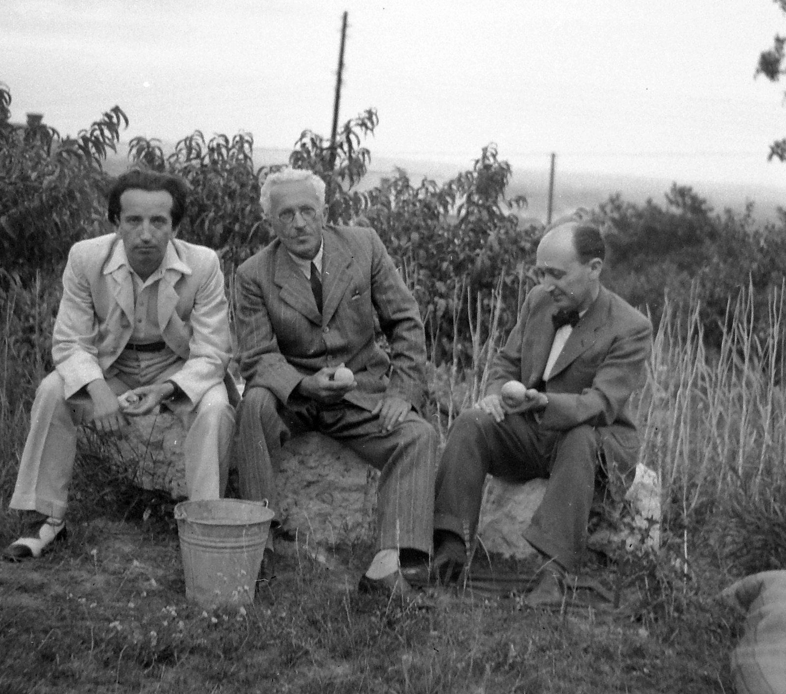 Hungary, Budapest III., Kolostor út 22., 1948, Hegedűs Judit, bucket, Budapest, fruit, gentleman, sitting, three people, Fortepan #20935