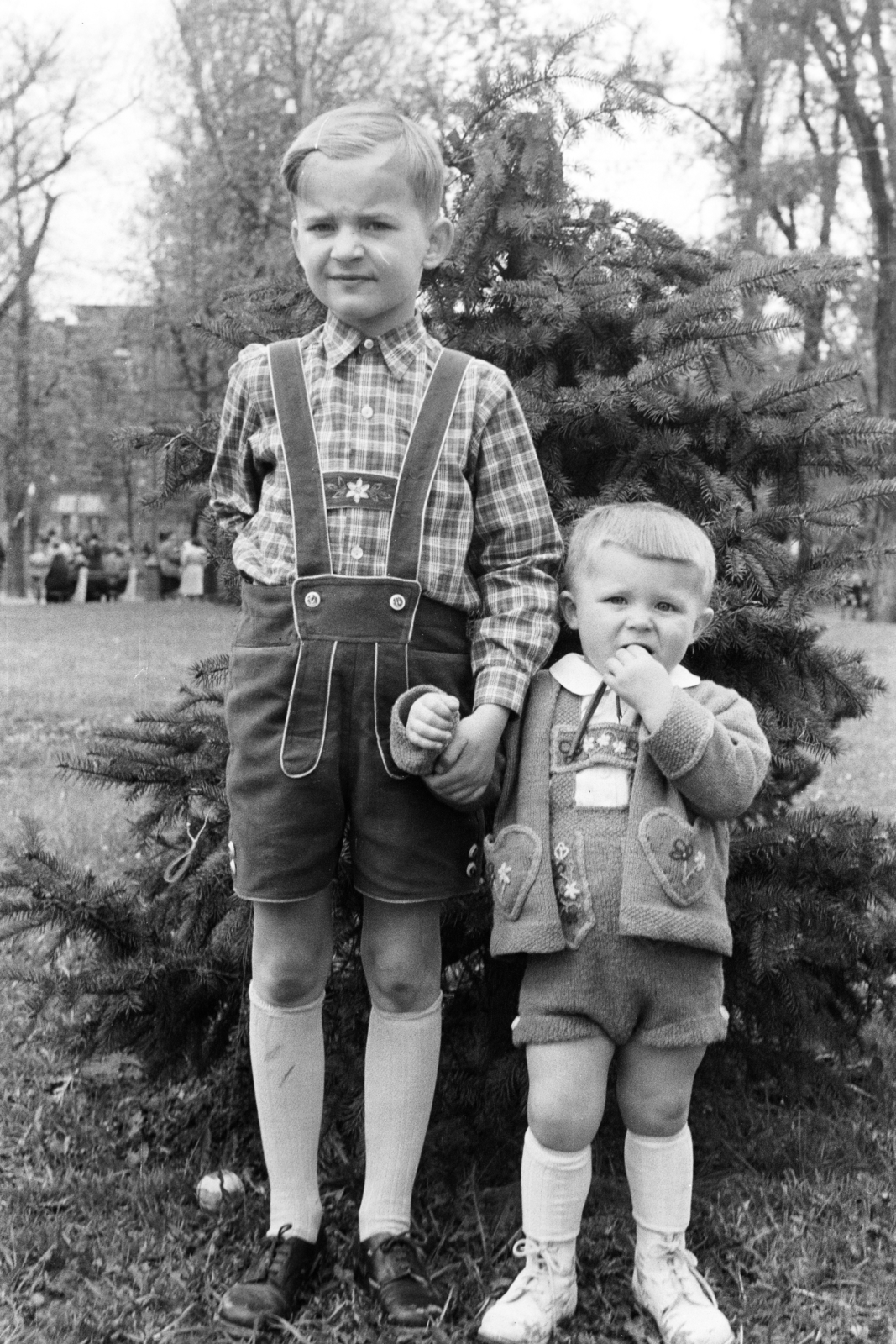 1952, Jezsuita Levéltár, Kiss Ulrich SJ, tiroli nadrág, fiúk, fenyőfa, Fortepan #209585