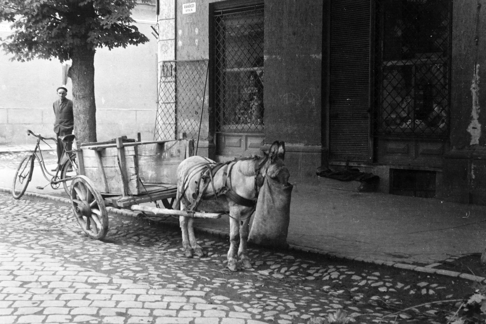 Hungary, Sátoraljaújhely, Rákóczi utca, balra a Jókai utca torkolata., 1966, Belházy Miklós, donkey, cart, Fortepan #210097