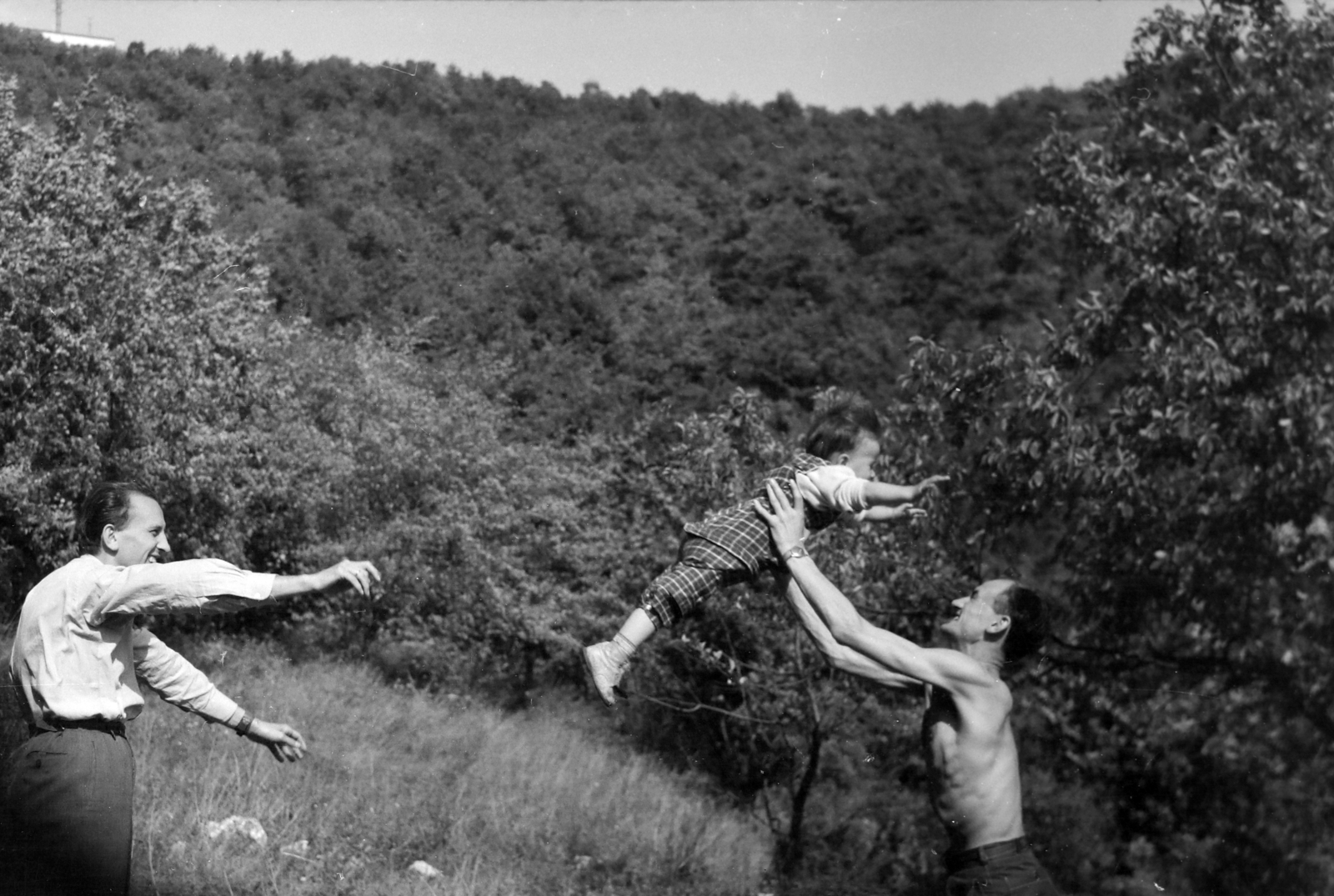 Hungary, Budapest XII., a felvétel Csillebérc közelében készült., 1956, Gresz Miklós, Budapest, Best of, Fortepan #210422