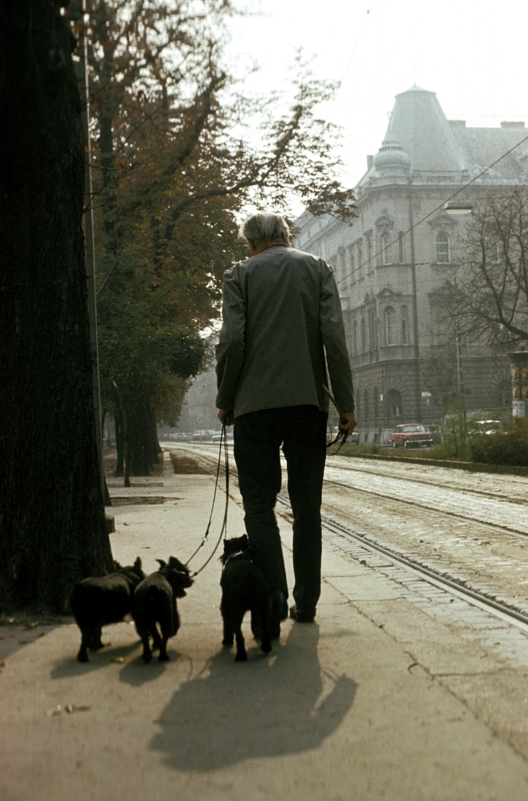 Hungary, Budapest I., Bem rakpart, háttérben jobbra a Pala utca torkolata., 1980, Herpay Gábor, colorful, Budapest, Fortepan #210468