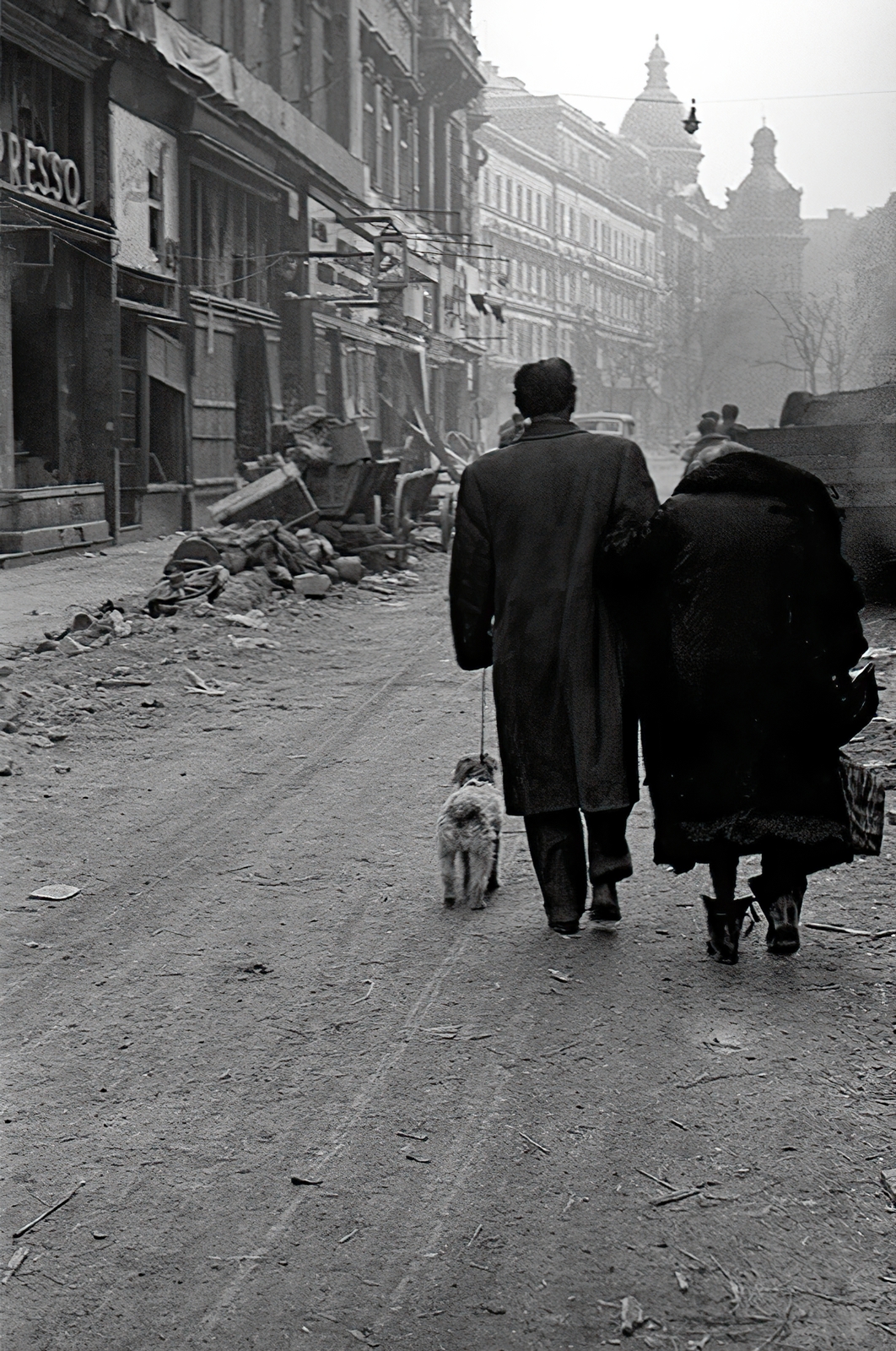 Hungary, Budapest V., Petőfi Sándor utca a Ferenciek tere felé nézve, távolabb a kupolás épületek a Reáltanoda utca sarkán állnak., 1945, Vörös Hadsereg, Budapest, lady, gentleman, pedestrian, dog, bag, civilian, Fortepan #210534