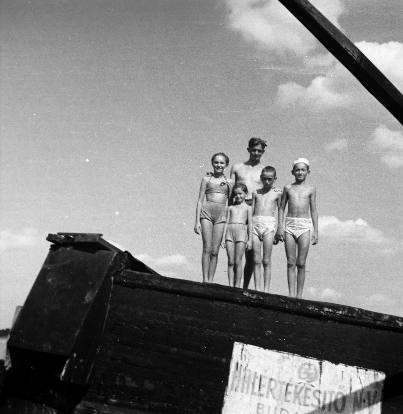 1953, Hontvári Judit, tableau, bottom view, kids, Halértékesítő NV, Fortepan #210587