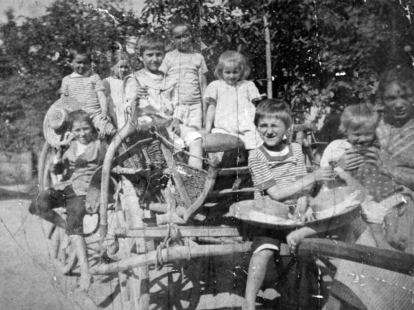 1928, Del Medico Imre, chariot, tableau, kids, herd, Fortepan #21072
