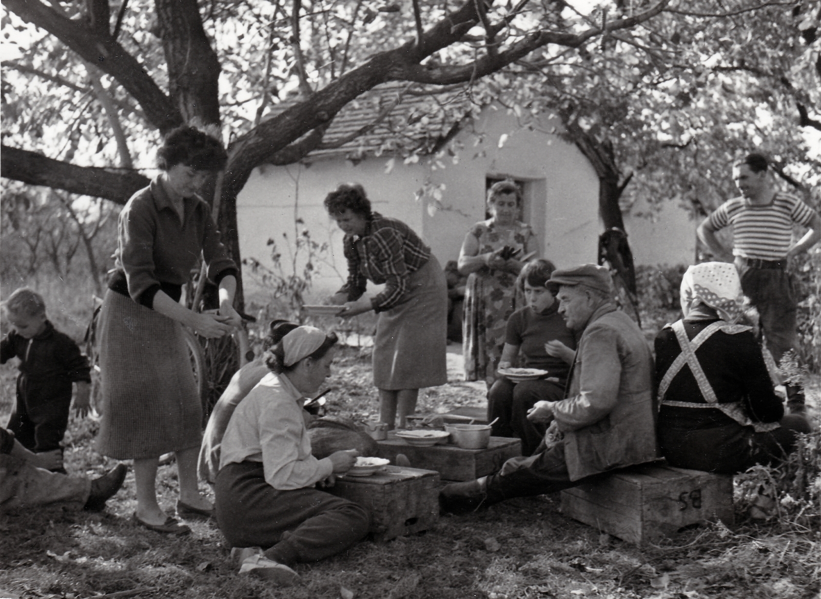 Hungary, Kecskemét, szüret., 1959, Kieselbach Tamás, meal, Fortepan #210852