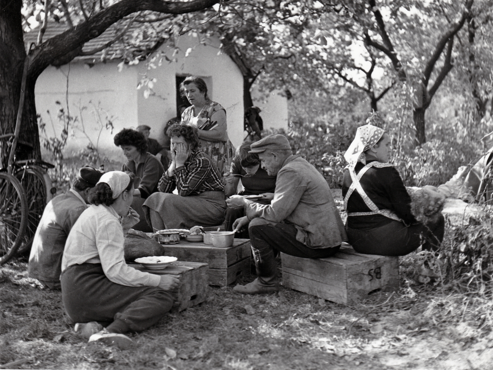 Hungary, Kecskemét, szüret., 1959, Kieselbach Tamás, meal, Fortepan #210853