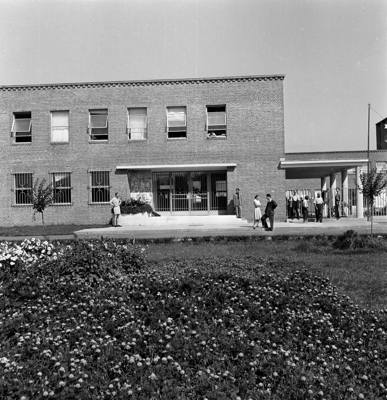 1955, Kotnyek Antal, school, window bars, building, tableau, wood, relief, pillar, Fortepan #210913