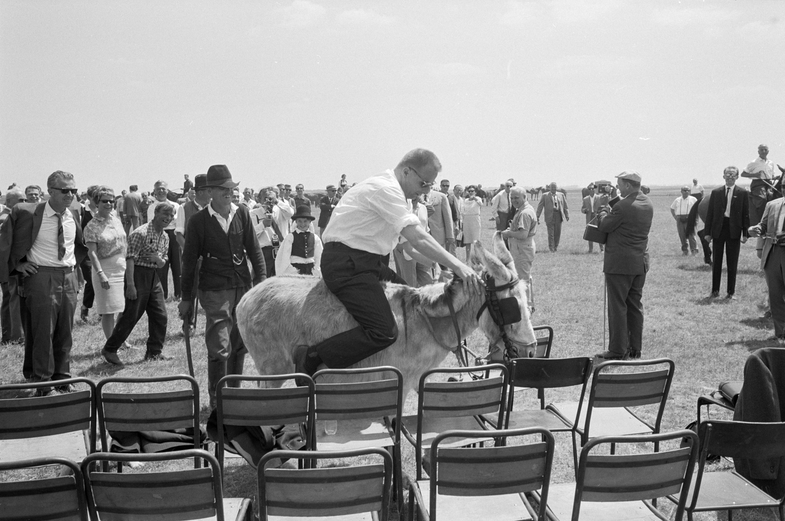 Hungary, 1966, ETH Zürich, donkey, Fortepan #211205