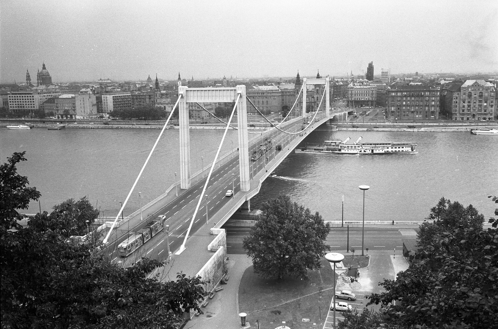 Hungary, Budapest I.,Budapest V., Erzsébet híd., 1966, ETH Zürich, ship, steamboat, hydrofoil, Szőke Tisza II./Felszabadulás/Szent Imre/Sas/IV. Károly ship, Budapest, Fortepan #211242
