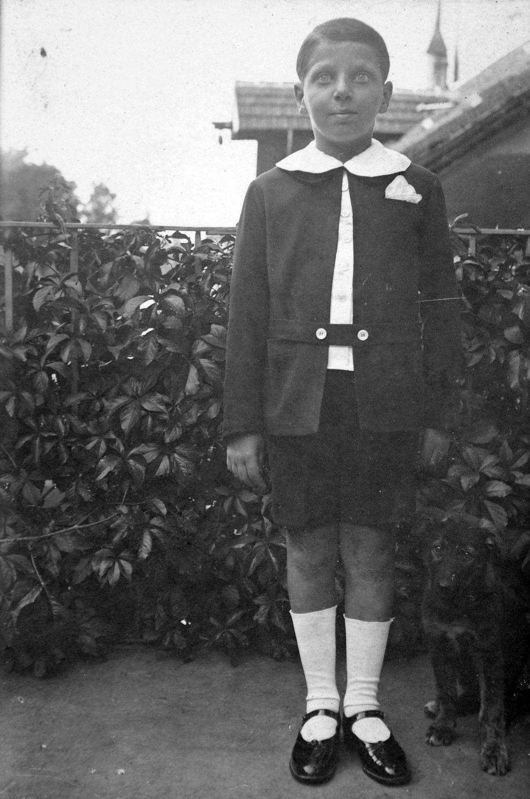 1920, Del Medico Imre, portré, kutya, kisfiú, elegancia, gyerek, Fortepan #21139