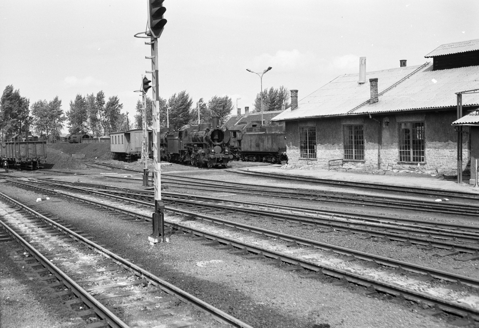 Magyarország, Celldömölk, vasútállomás., 1979, ETH Zürich, gőzmozdony, Fortepan #211461