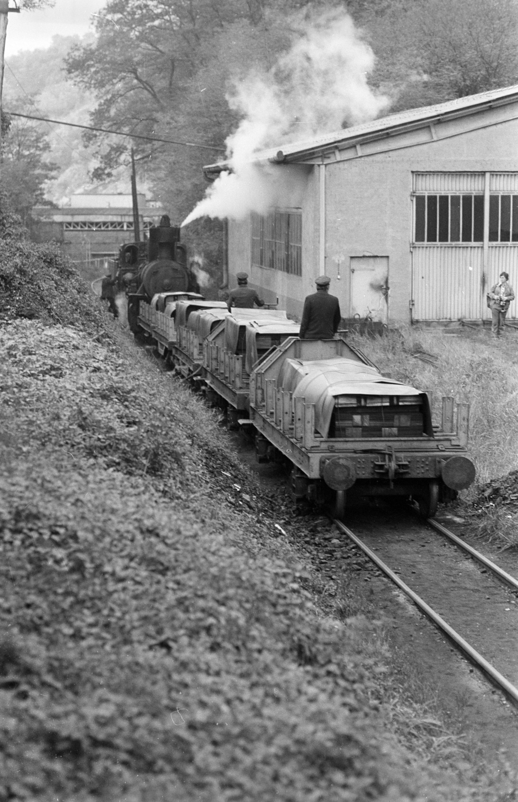 Hungary, Borsodnádasd, az Ózd - Borsodnádasd iparvasút szerelvénye az Új utca mellett, a Lemezgyár közelében., 1983, ETH Zürich, steam locomotive, Fortepan #211523