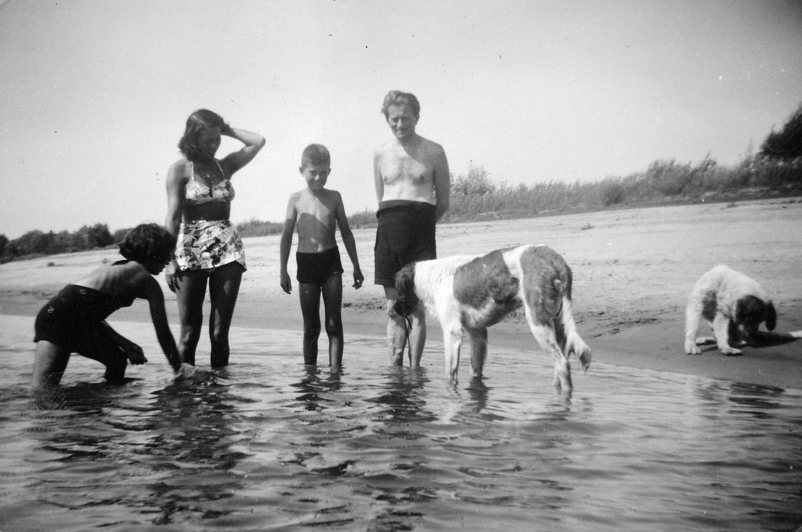 Hungary, Ányás, Tisza-part., 1937, Del Medico Imre, dog, genre painting, man, woman, shore, kid, Fortepan #21156