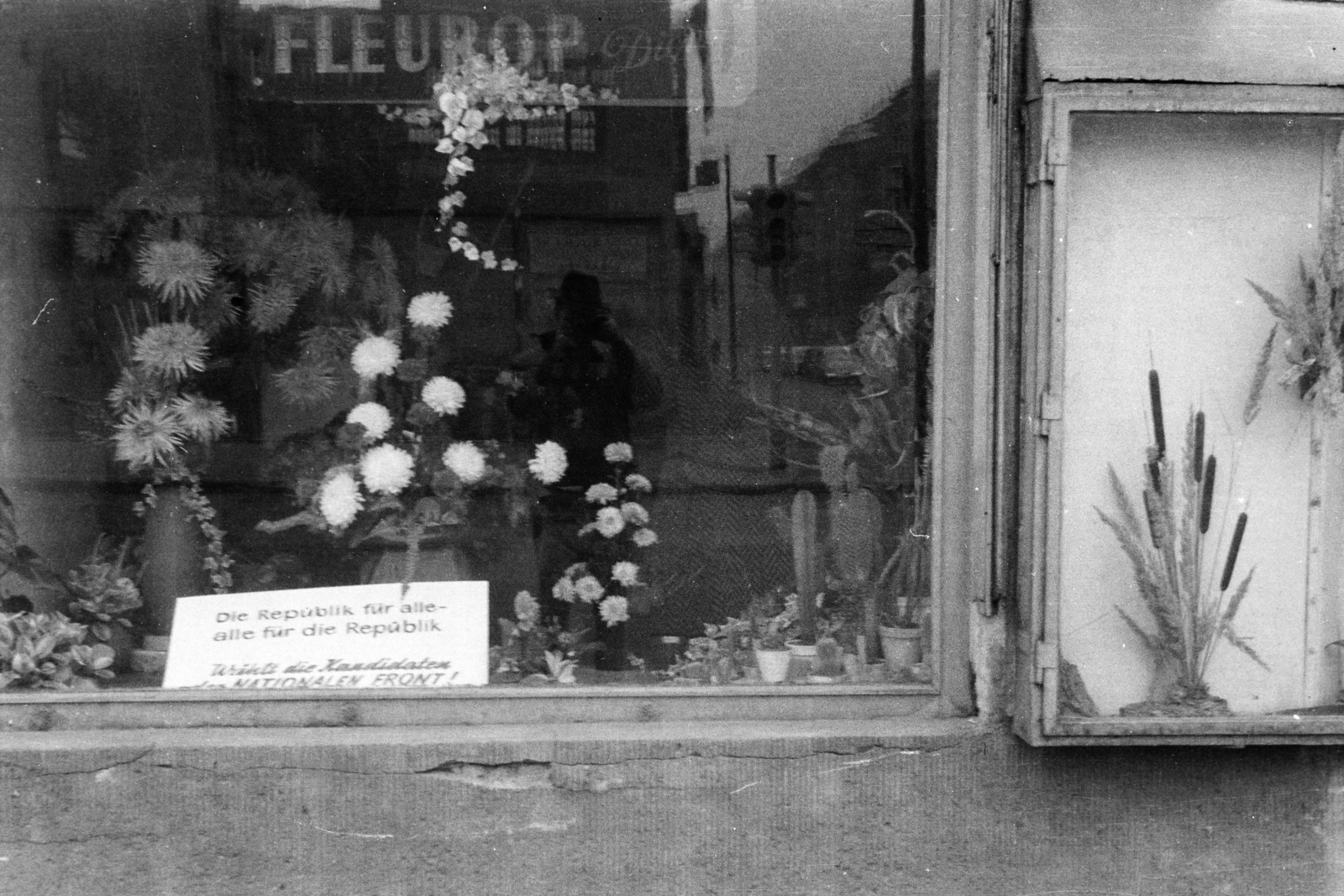 1962, Szathmáry Géza dr., german text, Show window, florist, GDR, Fortepan #211665