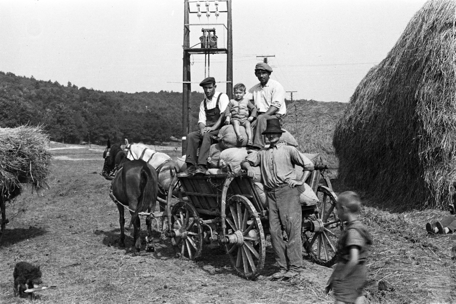 1958, Szolnoki Béla, szekér, Fortepan #211812