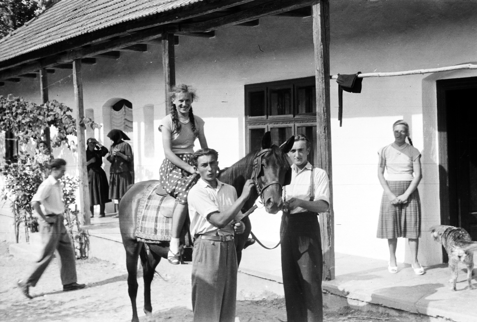 1958, Szolnoki Béla, girl, tress, rider, Fortepan #211826