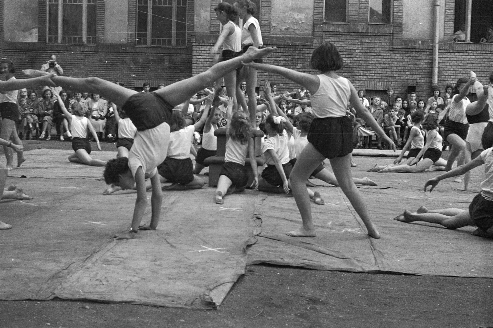1959, Szolnoki Béla, Fortepan #211862