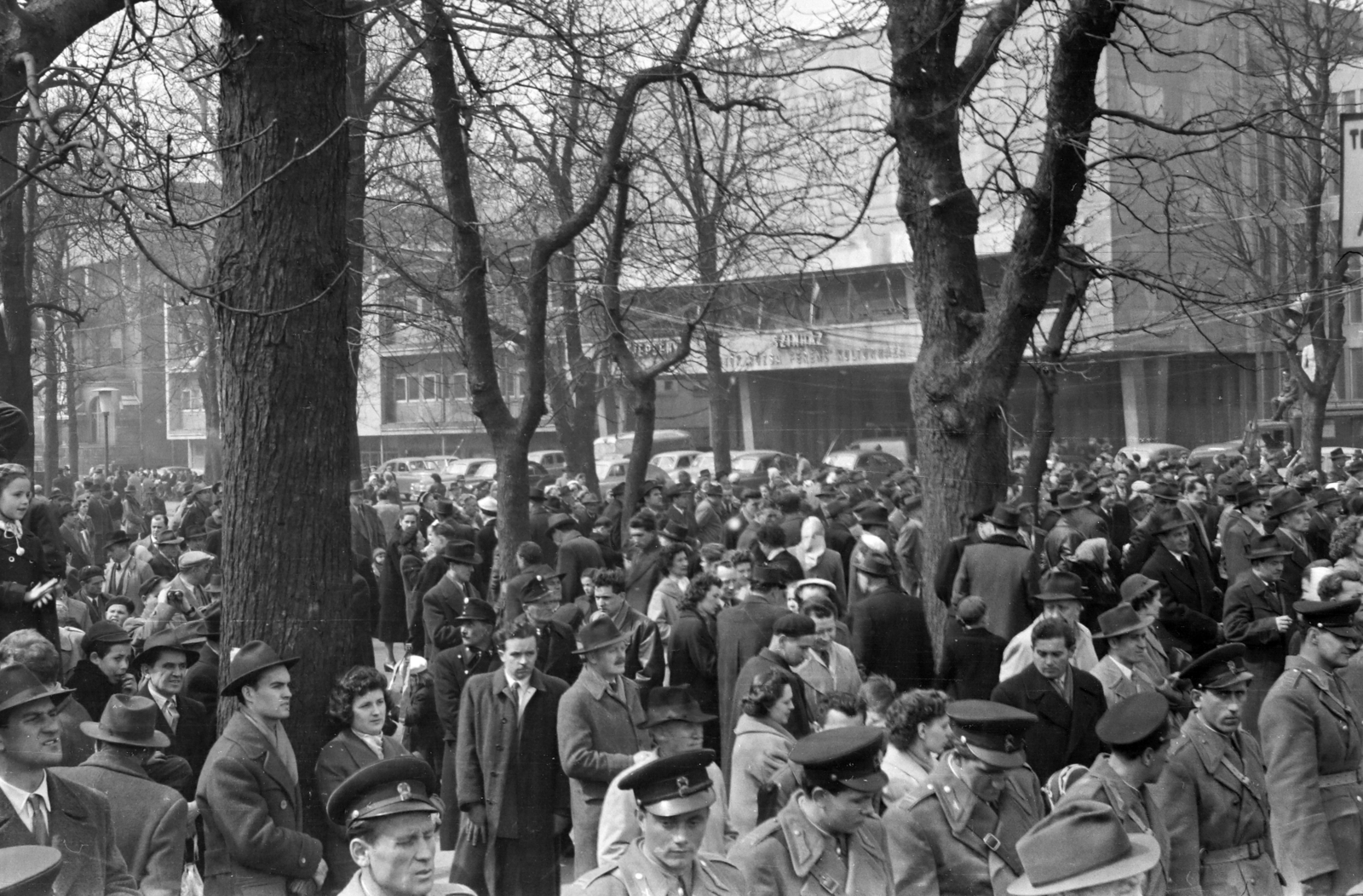 Hungary, Budapest VI., Városligeti (Gorkij) fasor a Dózsa György út közelében, háttérben az Építők Rózsa Ferenc kultúrháza., 1961, Szolnoki Béla, Budapest, Fortepan #211874