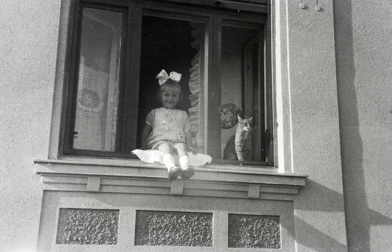 1942, Adelhardt Márta, cat, ribbon, sitting on a windowsill, Fortepan #212303